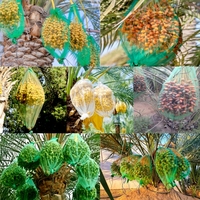 Oogst Mono Bescherming Dadels Palm Netto Zak Herbruikbare Datum Fruitzak