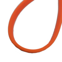 Laisse de chien longue ligne étanche, longue laisse en PVC durable de 10 pieds 20 pieds 30 pieds pour la formation de chien, la natation, la randonnée, la plage et la cour