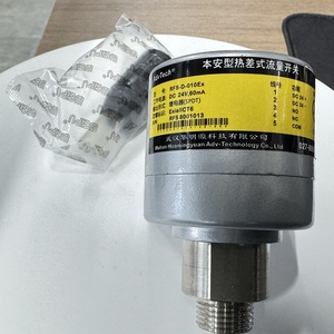 สวิตช์ควบคุมการไหลแบบปลอดภัยภายใน RFS-D-010Ex สำหรับป้องกันการระเบิด Ex Ia IIC T6 DC24V 60mA SPDT รีเลย์ ตรวจจับก๊าซ - Product Image 6