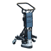 Meuleuse manuelle CALF avec support 10 pouces JS 3 têtes 250 mm, machine à meuler avec cadre 110V/220V