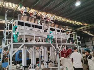 بذور شيا عالية الدقة بذور اليقطين بسعر المصنع - Product Image 4