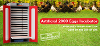 Incubadora de Huevos WONEGG HHD con Capacidad para 2000 Huevos, 98% de Tasa de Incubación, para Huevos Fértiles de Gallina, a Gran Escala y para Incubación a Pequeña Escala