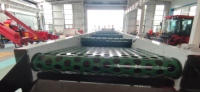 China fabriek knoflook sorteermachine, medium type knoflook sorteerapparatuur, aangepaste sorteringen beschikbaar
