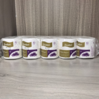 Papier toilette en rouleaux, papier toilette doux, écologique, certifié OEM, personnalisé, bon marché, 2 plis, pâte de bois vierge