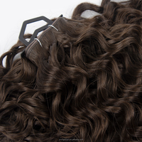 Extensions de cheveux humains Remy en trame papillon, lisses naturels, soyeux et doux, pour coiffure DIY et usage professionnel en salon