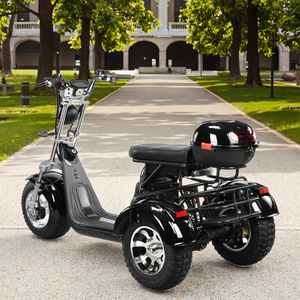 Tricycle 3000W pour adultes avec garantie de 2 ans, pour le golf, les trajets quotidiens et les déplacements légers hors route, capacité de charge de 250 kg - Product Image 1