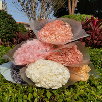 Valentine grosir bunga asli hydrangea dan daun untuk pernikahan buket alami diawetkan dekorasi rangkaian bunga