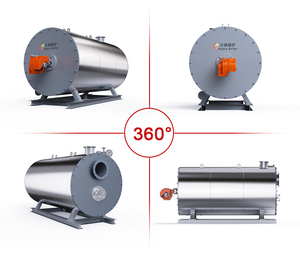 Chaudière industrielle à huile thermique de 350 kW, au gaz ou aux granulés de bois biomasse, chauffe-huile thermique de 5000 kg - Product Image 3
