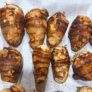 Premium Frisches Taro-Gemüse Eddo Dasheen <span class=keywords><strong>Cocoyam</strong></span> Arbi Kachalu Colocasia für den Export - Product Image 1