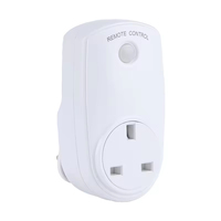 Commutateur de prise intelligente d'appareils électriques RF sans fil à télécommande radio standard britannique avec logo personnalisé