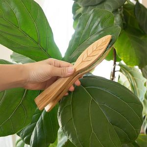 Pince de nettoyage pour feuilles de plantes en bois, outil domestique pour enlever la poussière des feuilles, pour le nettoyage des plantes d'intérieur - Product Image 3