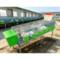 Ergonomischer Mehrstöckiger Kaninchenhaltungskäfig mit Korrosionsbeständigem Rahmen und Druckausgeglichenem Automatischen Wassersystem