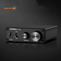 A1001 Profesyonel Mini 100W Subwoofer Amfi Sınıf D DSP HiFi Mono Dijital Yüksek Güçlü Alüminyum Alaşımlı Ev İçin