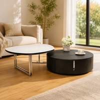 Table basse de salon moderne et minimaliste avec plateau en marbre et hauteur réglable pour petits appartements, meubles pour personnes âgées