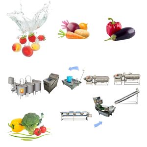 Machine de traitement de légumes Ligne de lavage de laitue Ligne de lavage de fruits Tomates Légumes - Product Image 4