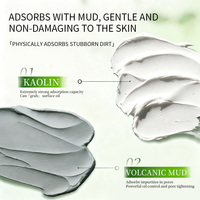 Vente en gros de boue nettoyante pour le visage à base d'acide aminé de chlorophylle naturelle et d'argile volcanique pour tous types de peaux, service OEM