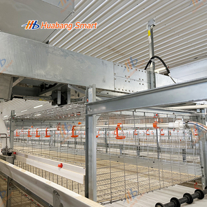 <span class=keywords><strong>Poulailler</strong></span> de volaille Conception de ventilation Cage pour poulets de chair pour l'élevage automatisé - Product Image 4