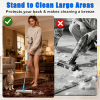 Kit de 3 en 1 en acier inoxydable pour enlever les poils d'animaux sur les tapis, avec brosse grattoir à long manche réglable et réutilisable pour chiens et chats
