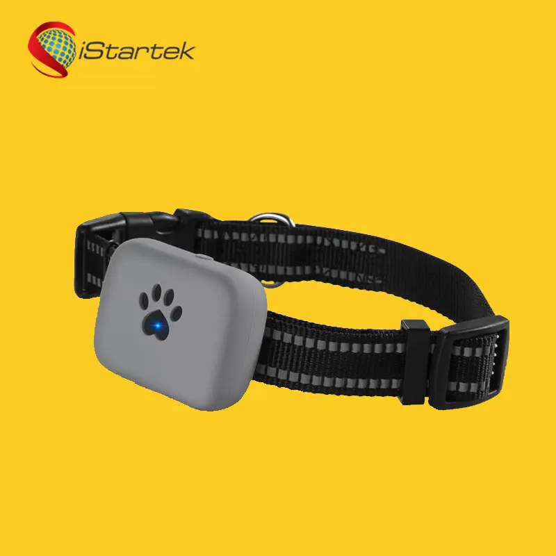 Wallet Tracking No Battery Pcba Personal GPS Tracker Mini Dog Training Collar For Pet PT21