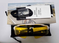 Gafas Inteligentes con IA y Asistente de Voz, Cámara Remota con Audio, para Ciclismo, Conducción, Deportes al Aire Libre, Resistentes al Viento, Gafas de Sol Deportivas para PC