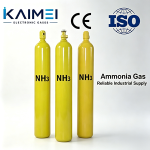 Cilindro de Gas Amoníaco de Acero de Alta Pureza 99.999% Personalizado, 10L/16L 5kg <span class=keywords><strong>NH3</strong></span>, Válvula Resistente a la Corrosión para Laboratorio - Product Image 4