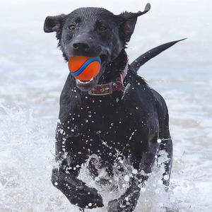 Due colori denti interattivi rettifica formazione Anti morso Tennis all'ingrosso giocattoli per cani Tpr palla durevole cane cane da addestramento giocattoli da masticare - Product Image 4