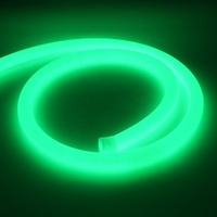 Ruban LED flexible en silicone IP67 à 360 degrés, CRI90, garantie 3 ans, diffuseur néon pour aménagement paysager