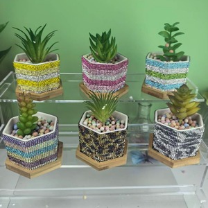 Kit de Macetas de Cerámica <span class=keywords><strong>para</strong></span> Suculentas, Coloridas con Brillantina de Diamantes, Pequeñas Macetas de Escritorio <span class=keywords><strong>para</strong></span> <span class=keywords><strong>Cactus</strong></span>, Decoración Clásica <span class=keywords><strong>para</strong></span> el Hogar/Oficina - Product Image 6