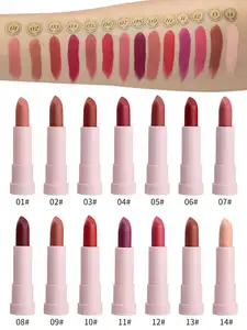 Groothandel Hoge Kwaliteit Zijdezachte Lipstick Fabrikant Vegan Custom Private Label Matte Rode Lippenstift