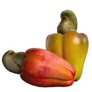 Venta caliente 2024 Residuo de cáscara de nuez de cashey estándar de alta EXPORTACIÓN DE Material de PP seco de Vietnam a precio competitivo La mejor opción - Product Image 1