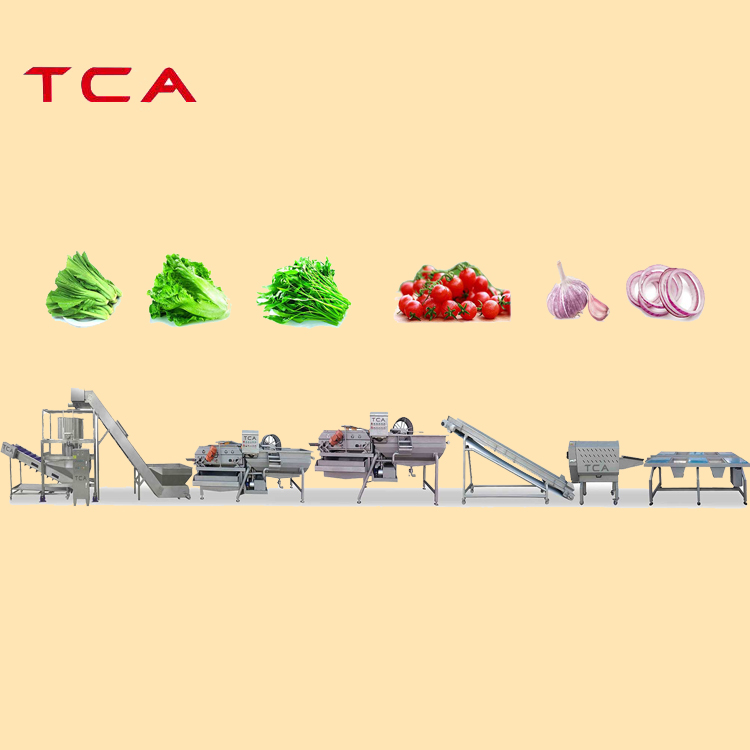 industrial vegetable and fruit processing machine vegetable washing processing line