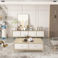 Meuble TV en bois massif couleur champagne, style luxe léger, table basse en bois massif moderne et minimaliste
