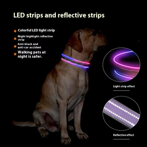 Nilon dapat disesuaikan gaya taktis hewan peliharaan anjing anak anjing kerah aman bercahaya lampu LED dicetak poliester untuk anjing dan hewan peliharaan - Product Image 6