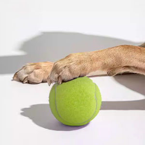 Grande balle de tennis pour chiens 9,5 pouces, balles de tennis géantes gonflables, jouet à mâcher pour animaux de compagnie, balle de tennis pour chien, grands jouets pour animaux de compagnie, sports de plein air amusants - Product Image 1