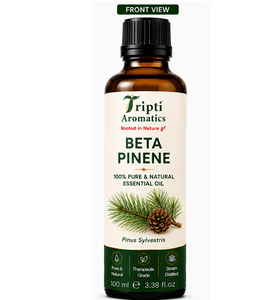 Aceite de Beta Pineno 100% Puro, Prensado en Frío, Natural, de Primera Calidad, Aceite Esencial de Beta Pineno, Aceite Vegetal Natural, Suministro al por Mayor - Product Image 1