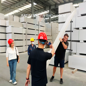 Nuova tecnologia prefabbricata blocchi di costruzione isolati materiali in muratura pannello di casa contenitori muro di cemento pannello esterno - Product Image 6