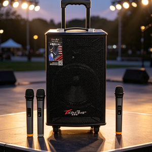 Altoparlante Portatile Karaoke Stereo da 10 Pollici 240W con Doppio Microfono Wireless e <span class=keywords><strong>USB</strong></span> in Plastica per Feste all'Aperto - Product Image 6