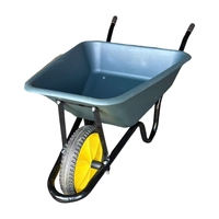 Carretilla WB3800P de construcción de servicio pesado del proveedor de China con bandeja de plástico sólido Carretilla de carretilla