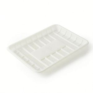 Plateau de service grand format en amidon de maïs CPLA blanc, biodégradable et compostable, de haute qualité, robuste, jetable et écologique pour la viande et les fêtes - Product Image 2
