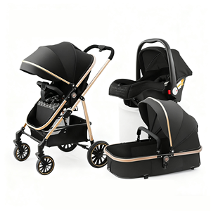Wellpal Poussette de voyage multifonctionnelle de luxe 3 en 1 de haute qualité, équipement élégant pour bébé - Product Image 1