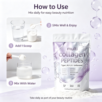 Sachets de poudre de collagène multi-effets hydrosoluble à marque privée, supplément de collagène HA VC Glutathion, soutien énergétique 454g