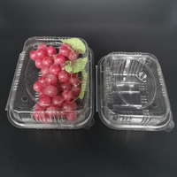 Op Maat Gemaakte Print Wegwerp Pla Lege Food Container Box Clamshell Ontwerp Sabotage Evident Veilig Slot Voor Cookie Fruit Blister