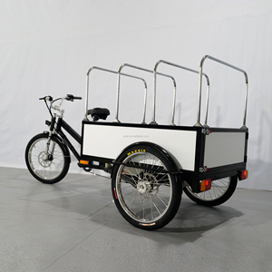 Triciclo Elettrico da Carico ESTER 500W Nuovo con Tettuccio Morbido Personalizzato, Bici Cargo Elettrica a 3 Ruote, Cassone in Alluminio Alleggerito - Product Image 3