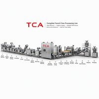 TCA 500kg per uur productielijn voor frites, SUS304 aardappelchipsmachine voor snackfabrieken, bulk