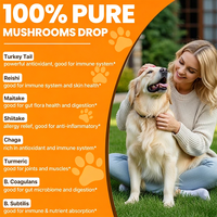 OEM Premium Pure Paddenstoelenolie Kalkoenstaartpaddenstoel voor Huisdieren Verzorging Natuurlijke Versterking Beste Kwaliteit