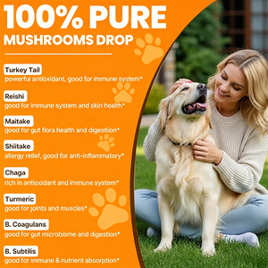Huile de Champignon Pure Premium OEM, Huile de Champignon Queue de Dinde pour <span class=keywords><strong>Animaux</strong></span> <span class=keywords><strong>Domestiques</strong></span>, Soin Naturel Renforçant <span class=keywords><strong>la</strong></span> Défense, Meilleure Qualité - Product Image 4