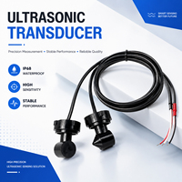 Transducteur céramique piézoélectrique pour compteur d'eau Taian Xinhaitai, capteur de compteur d'eau ultrasonique 1 MHz