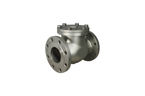 Válvula de Retención de 2 Pulgadas de Acero al Carbono Tipo C con Extremo Bridado y Cubierta Atornillada, Sellado de PTFE, Personalizable para la Industria del Petróleo y Gas - Product Image 2