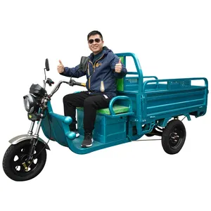 2023 Chinese cheaper 3 wheel motorcycle electric cargo tricycle