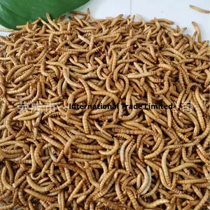 Insectos Liofilizados, Gusanos Secos, Bocadillos para Hámsteres, Alimento para Peces Tropicales Arowana, Pez Pajita, Luohan, Shandong - Product Image 3